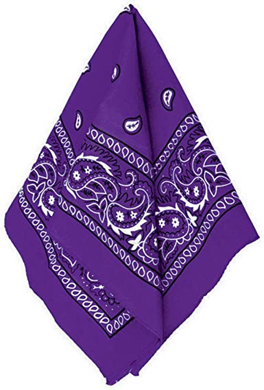 Photo 1 of 10 Pack Purple Paisley Silk Bandanas
