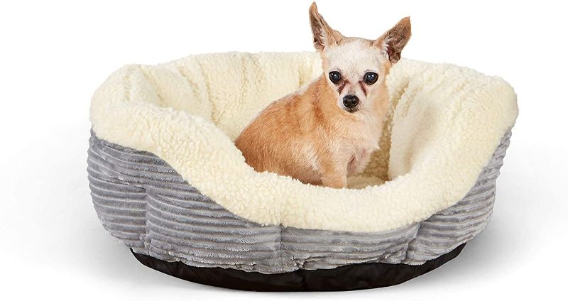 Photo 1 of Amazon Basics Round Self Warming Pet Bed For Cat or Dog, 22 x 8 Inches
