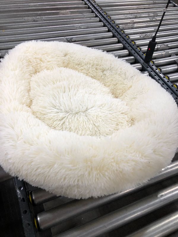 Photo 1 of 29" INCH SMALL DOG BED (BEIGE)