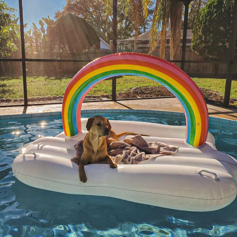 Photo 1 of 1 PACK Float Joy Rainbow Cloud Floaties for Kids and Adults, Rainbow Pool Inflatables, Rainbow Island Floaty, Decorations for Pool, Rainbow, and LGBTQ Pride Parties
