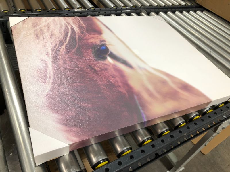 Photo 2 of 24" X 30" Horse Closeup Canvas Brown - Threshold™