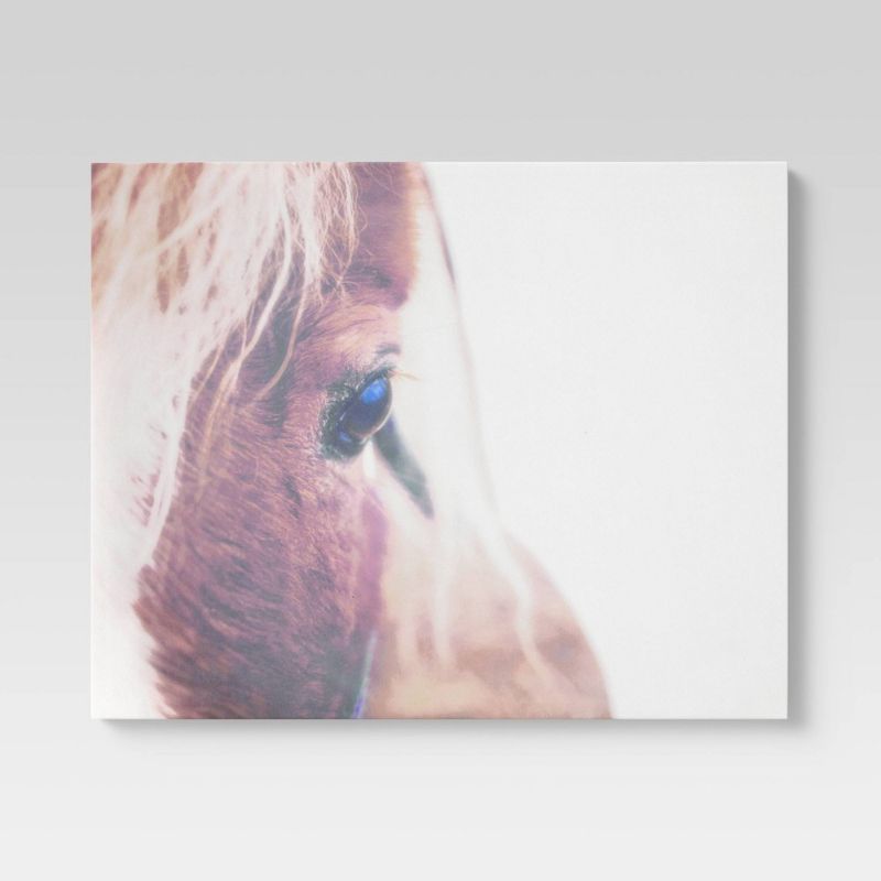 Photo 1 of 24" X 30" Horse Closeup Canvas Brown - Threshold™