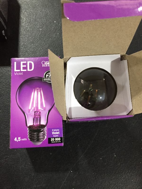 Photo 2 of 3.6 Watt a-Line A19 Filament LED Bulb Purple 2 Pack
