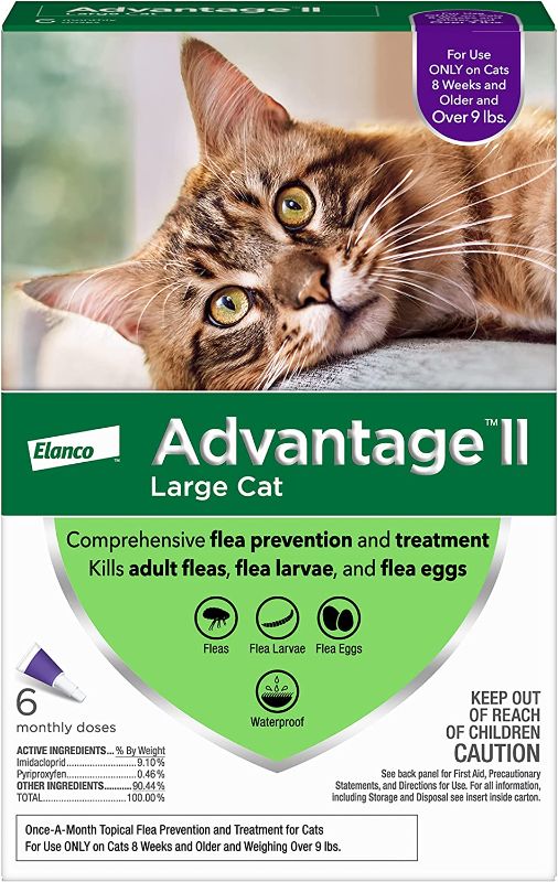 Photo 1 of Advantage II Flea Prevention and Treatment for Large Cats, Over 9 Pounds
