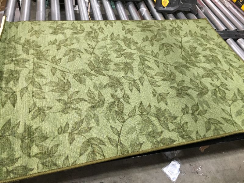 Photo 1 of 45" x 30" green rug