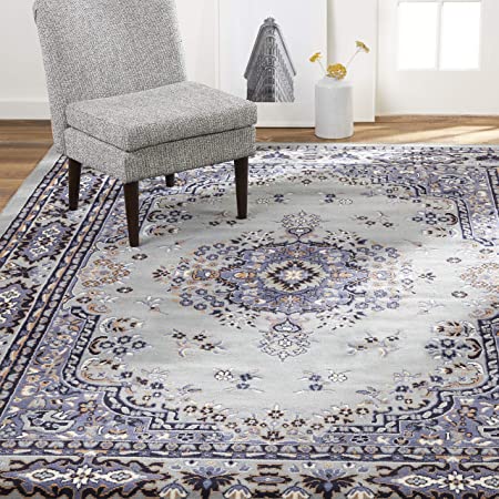 Photo 1 of Home Dynamix Premium Sakarya Traditional Medallion Border Area Rug, Silver, 7'8"x10'7" Rectangle
