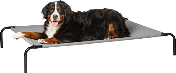 Photo 1 of Amazon Basics Cooling Elevated Pet Bed, Extra Large (60.1 x 37.1 x 8.9 Inches), Grey, 1 count
