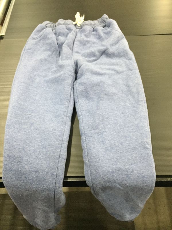 Photo 1 of Blue Sweatpants w/ Sherpa inside. M