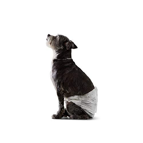 Photo 1 of Amazon Basics Male Dog Wrap, Disposable Diapers, Small - Pack of 30
