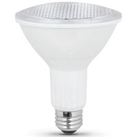 Photo 1 of 7342645 PAR30 Adjustable Beam 3K LED Bulb
