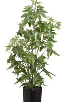 Photo 1 of 37" Artificial Marijuana Plant In Pot Green (Pack Of 2) LPM337-GR By Silk Flower
