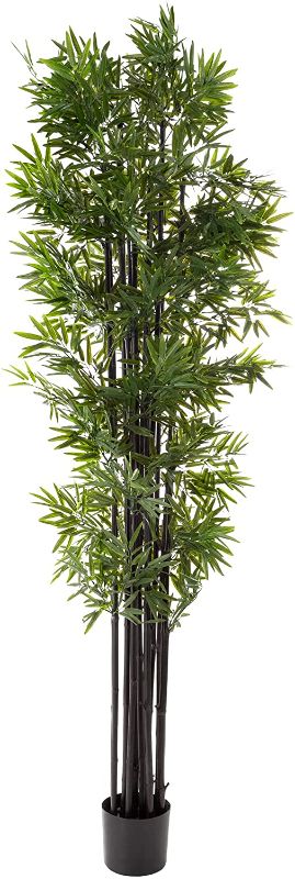 Photo 1 of Artificial Bamboo Tree – 72-Inch Faux Potted Plant with Black Trunks and Natural Feel Leaves - Realistic Indoor Home or Office Décor by Pure Garden
