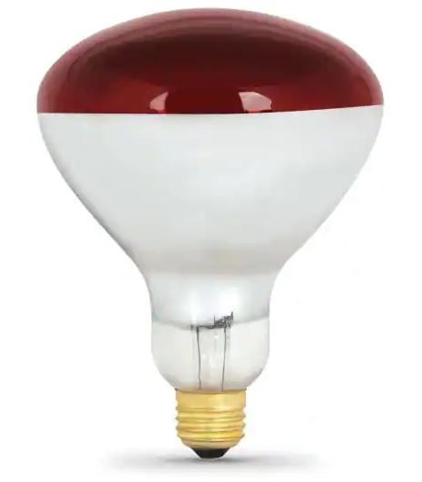 Photo 1 of 250-Watt Red BR40 Dimmable Incandescent 120-Volt Infrared Heat Lamp Light Bulb (1-Bulb)
