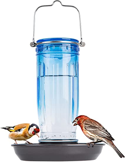 Photo 1 of 16 Oz Glass Bird Water Dispenser