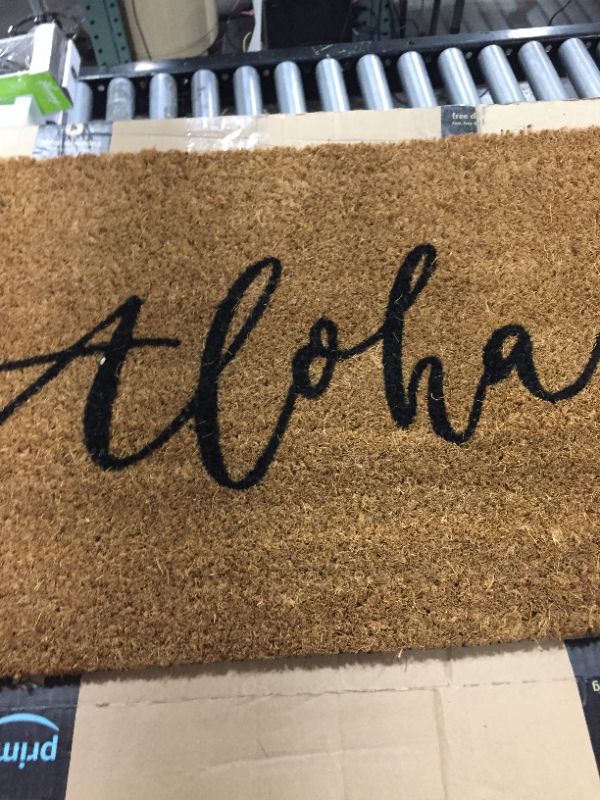 Photo 1 of Aloha Polyster Door Mat, Indoor and Outdoor Decorative Floor Mat Machine Washable Carpet- 18x30 Inch Brown
