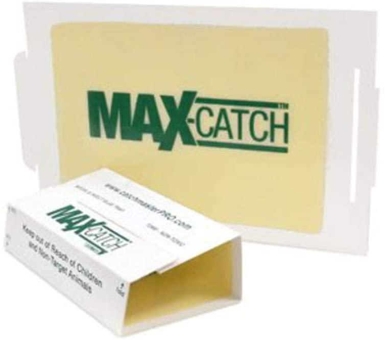 Photo 1 of Catchmaster 72MAX Pest Trap, 36Count, White
