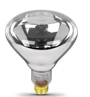 Photo 1 of 250-Watt Clear BR40 Dimmable Incandescent 120-Volt Infrared Heat Lamp Light Bulb (1-Bulb)
