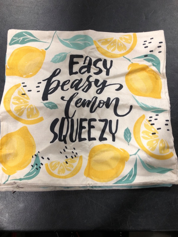 Photo 1 of AVOIN colorlife Hello Sunshine Lemon Throw Pillow Covers, 18 x 18 Inch Spring Summer Cushion Case Decoration for Sofa Couch Set of 4
