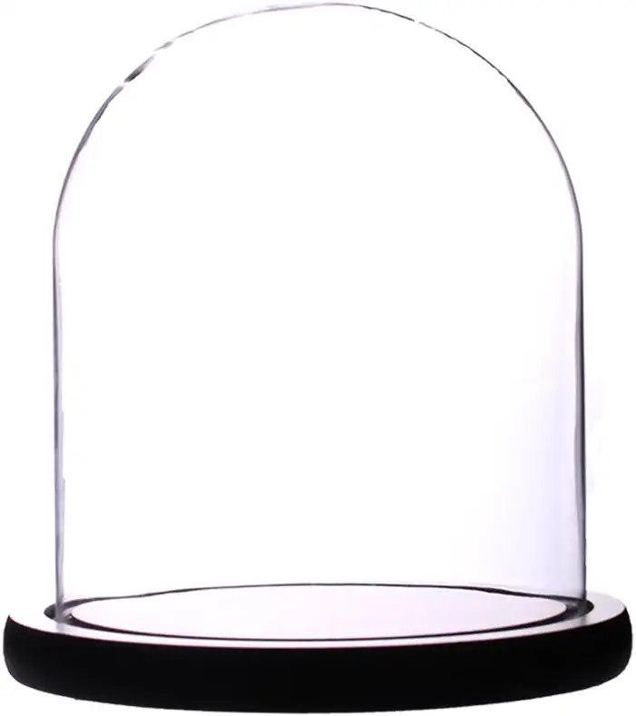 Photo 1 of Artlass Glass Cloche Bell Jar Display Dome with Black Wooden Base 6" x 7"
