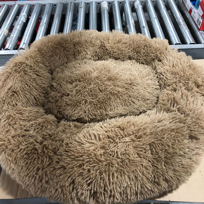 Photo 2 of CIRLCLE DOG BED 30IN ROUND