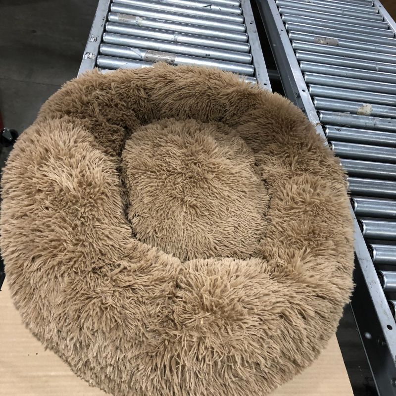 Photo 1 of CIRLCLE DOG BED 30IN ROUND