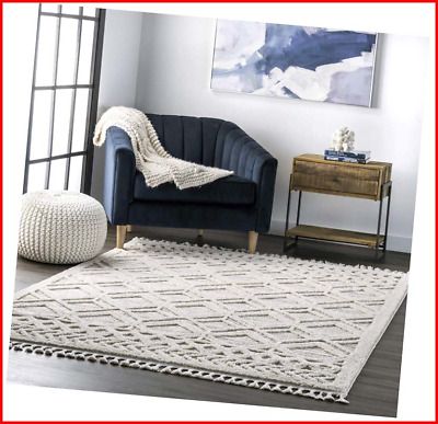 Photo 1 of Beige Shaggy Lattice Tassel 6' 7" x 9' Area Rug
