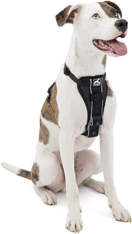 Photo 1 of -SIZE MEDIUM- Kurgo Tru-Fit Smart Harness, Dog Harness, Pet Walking Harness, Quick Release Buckles, Front D-Ring for No Pull Training, Includes Dog Seat Belt Tether

