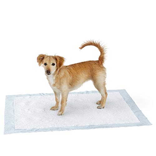 Photo 1 of Amazon Basics Dog and Puppy Pads, Leak-proof 5-Layer Pee Pads with Quick-dry Surface for Potty Training, X-Large (28 x 34 Inches) - Pack of 60
