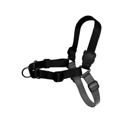 Photo 1 of Zee.Dog Gotham Soft-Walk Polyester No Pull Dog Harness, Small: 19.7 to 30.5-in Chest
