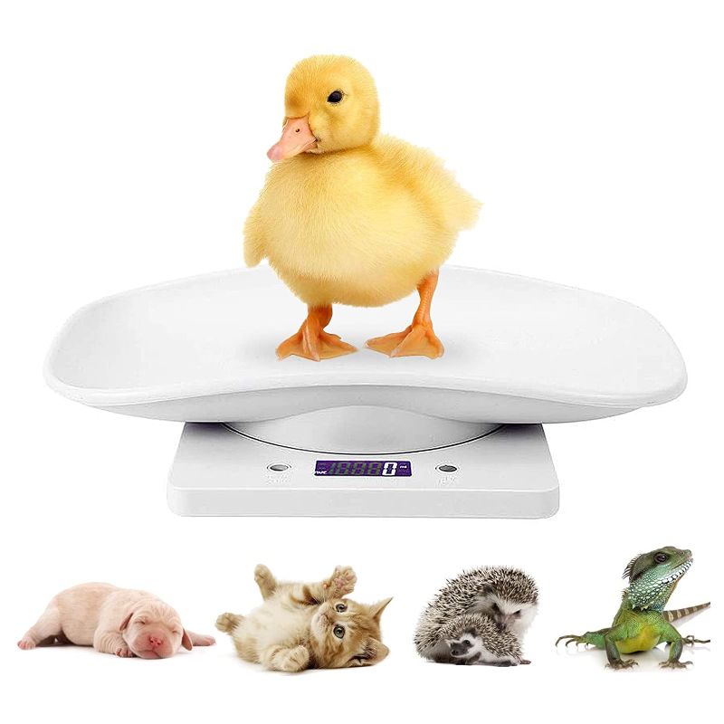 Photo 1 of Digital Mini Pet Scale, Small Animal Weight Scale, Portable LCD Electronic Weighing Scale with Tray(Max. 22 lbs), Multifunction Kitchen Scale for Food/Puppy/Kitten/Lizard/Hamster/Tortoise/Whelping
