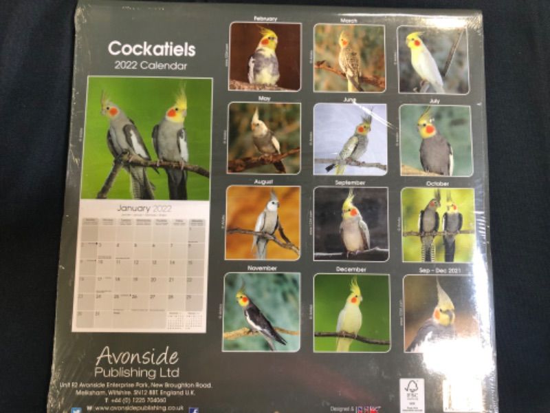 Photo 1 of Cockatiels Calendar - Calendars 2021 - 2022 Wall Calendars - Bird Calendars - Monthly Wall Calendar by Avonside Calendar – Wall Calendar, July 30, 2021 2 pack 
