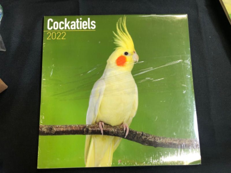 Photo 1 of Cockatiels Calendar - Calendars 2021 - 2022 Wall Calendars - Bird Calendars - Monthly Wall Calendar by Avonside Calendar – Wall Calendar, July 30, 2021 2 pack 
