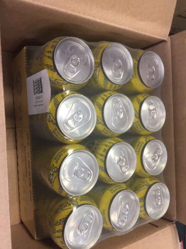 Photo 2 of (12 Bottles) Guayaki Yerba Mate, Bluephoria, 16 Fl Oz