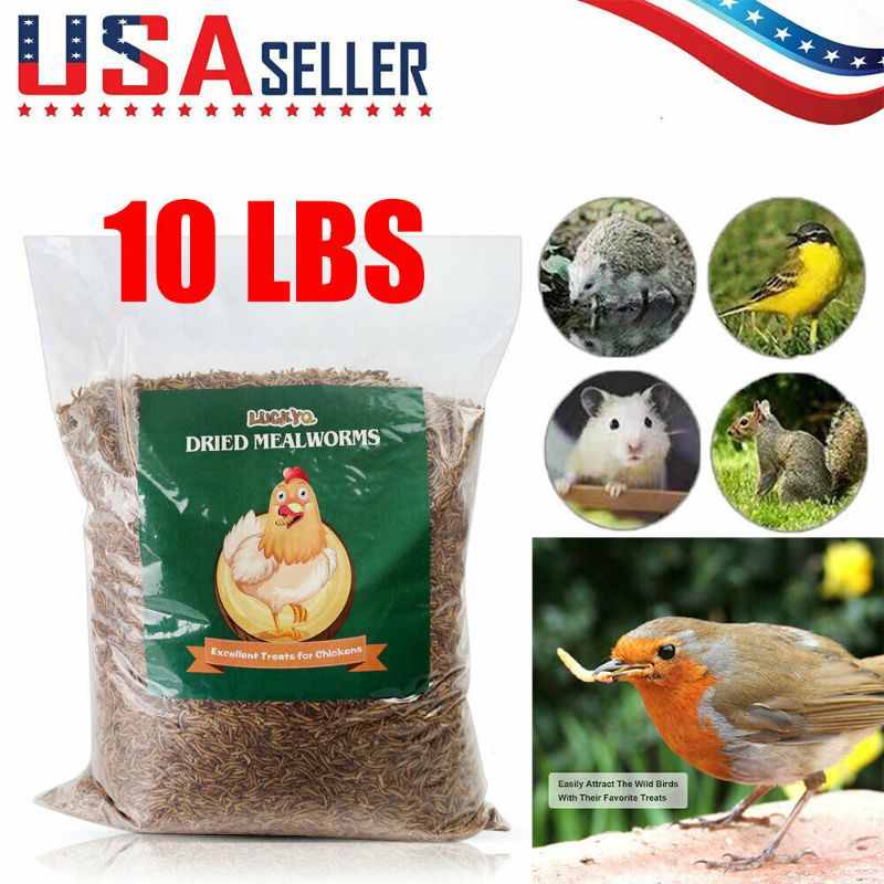 Photo 1 of 10 LBS Bulk Dried Mealworms for Wild Birds Food Blue Bird Chickens Hen Treats
