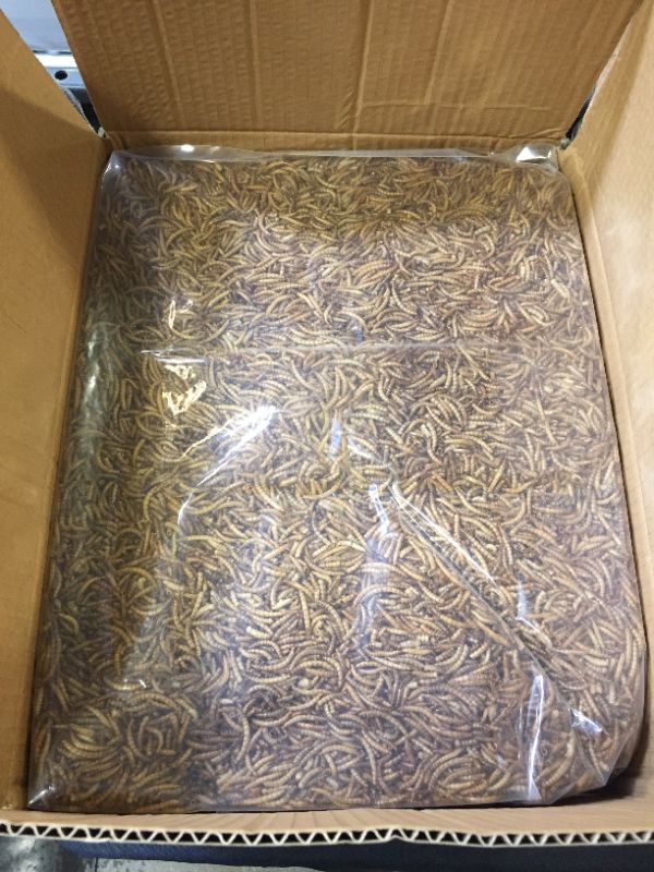 Photo 3 of 10lbs Bulk Non-GMO Dried Mealworms for Reptile , Tortoise ; Amphibian ,Lizard ;Wild Birds; Chichens; Duck etc
