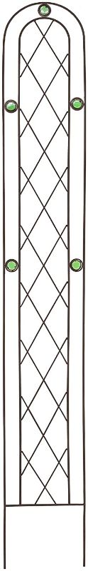 Photo 1 of Arcadia Garden Products TR03 Arched Garden Trellis 6' x 10", Black
