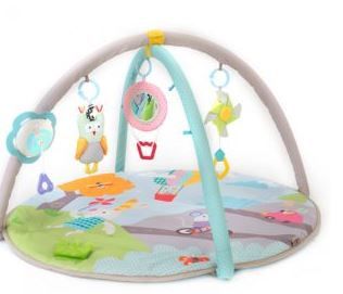 Photo 1 of musical nature baby gym