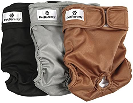 Photo 1 of small size Pet Parents Washable Dog Diapers (3pack) of Durable Doggie Diapers, Premium Male & Female Dog Diapers
