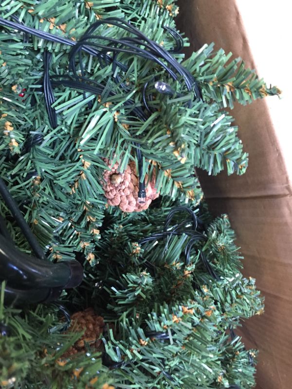 Photo 1 of christmas tree size unknown 