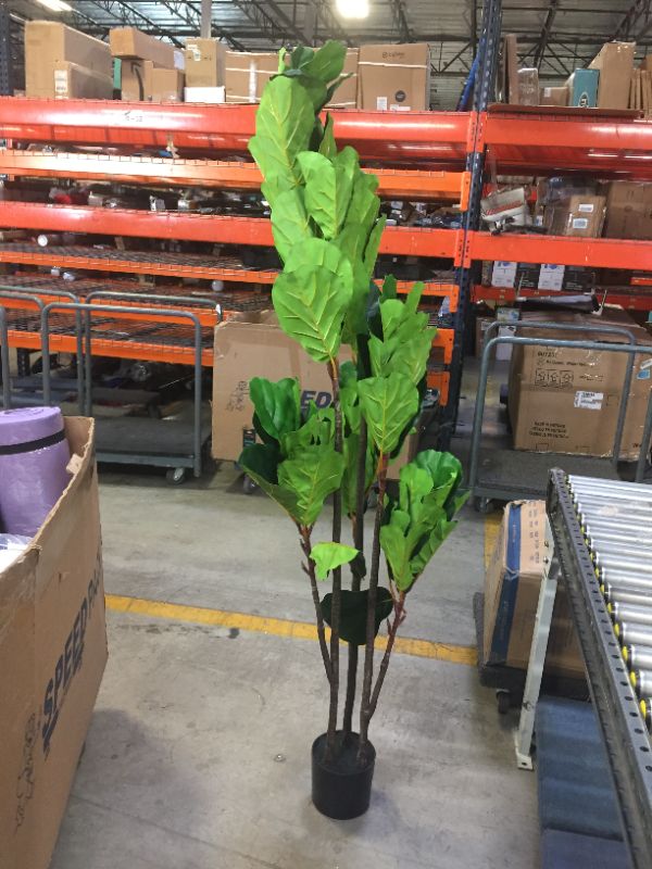 Photo 2 of 6' fake plant 