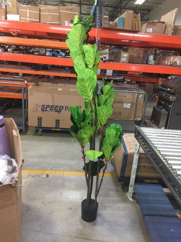 Photo 1 of 6' fake plant 