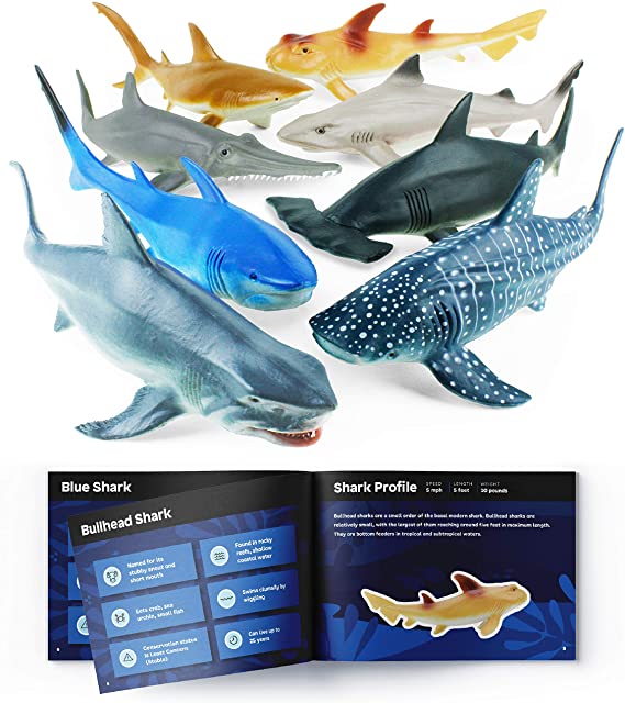 Photo 1 of Boley Shark Toys - 8 Pack 10" Long Soft Plastic Realistic Shark Toy Set - Toddler Sensory Toys and Birthday Party Favors for Kids