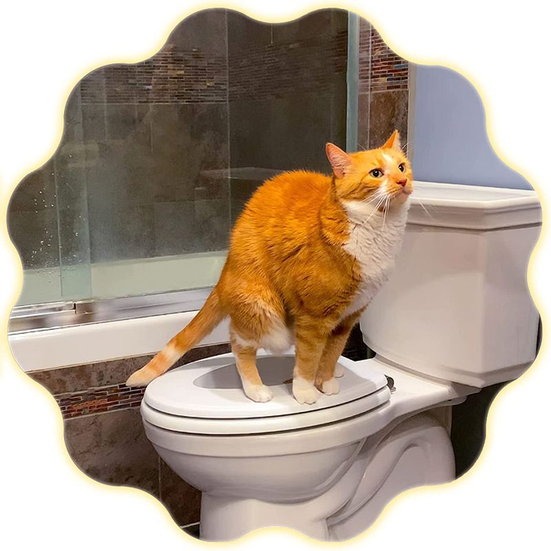 Photo 1 of Hover Cat Seat Cat Toilet Training Kit Includes Toilet Seat Plus 4 Training Plates