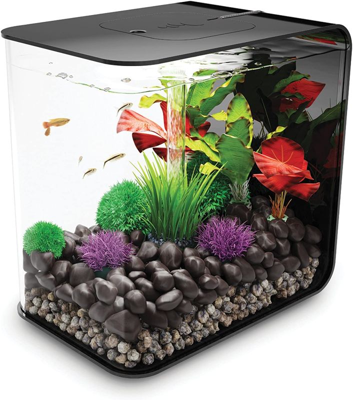 Photo 1 of biOrb FLOW 30 Aquarium with LED Light - 8 gallon, black (45919)
