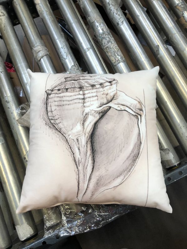 Photo 1 of 14"x14" seashell throw pillow 