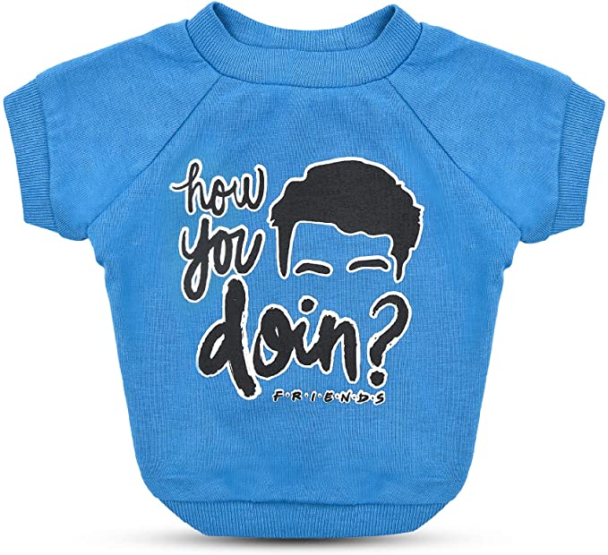 Photo 1 of Friends TV Show "How You Doin" Dog T Shirt in Blue - Friends Dog Shirt, Cute Dog Clothes, Dog Apparel, Dog Tee, Puppy Dog Shirts, Clothing for Dogs, Pet Shirt, Shirts for Dogs, Puppy Clothes XS 