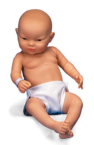 Photo 1 of 3B Scientific W17003 Asian Baby Care Model, Female
