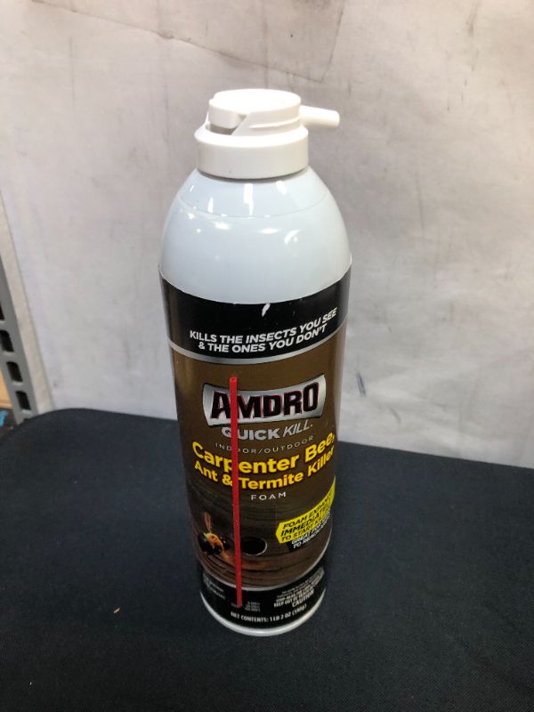 Photo 2 of Amdro Quick Kill Carpenter Bee, Carpenter Ant & Termite Killer Foam; 18 oz.
