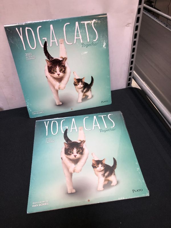 Photo 2 of Yoga Cats Together Calendar 2022 - 2 PACK 