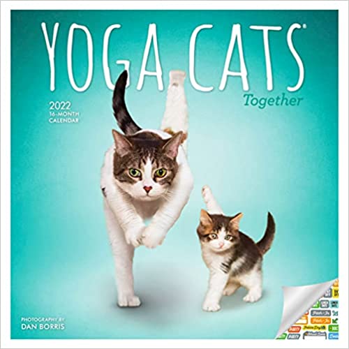 Photo 1 of Yoga Cats Together Calendar 2022 - 2 PACK 